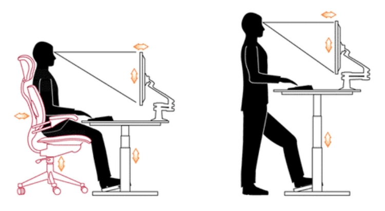 Why Ergonomics in the Workplace is so Importance - Sit or Stand